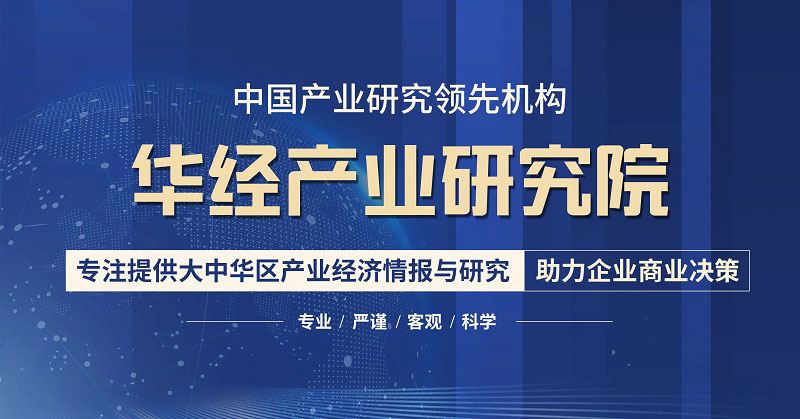 2023-2028年中国电化铝行业市场全景评估及发展战略规划报告 